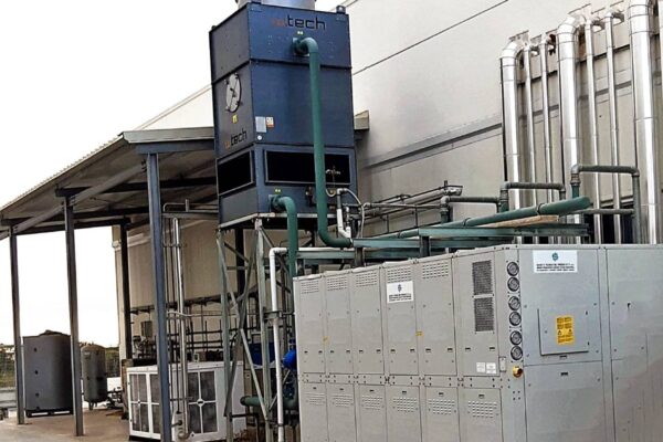 ARTICOLO IL SOLE 24 ORE 2025 IL PANELLINO D_ORO STF