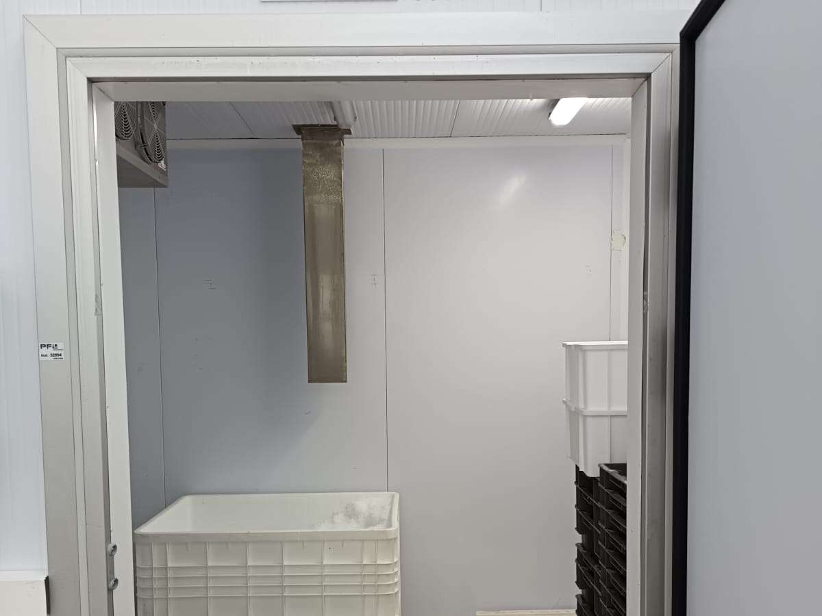 Cella conservazione ghiaccio STF Cella conservazione ghiaccio STF