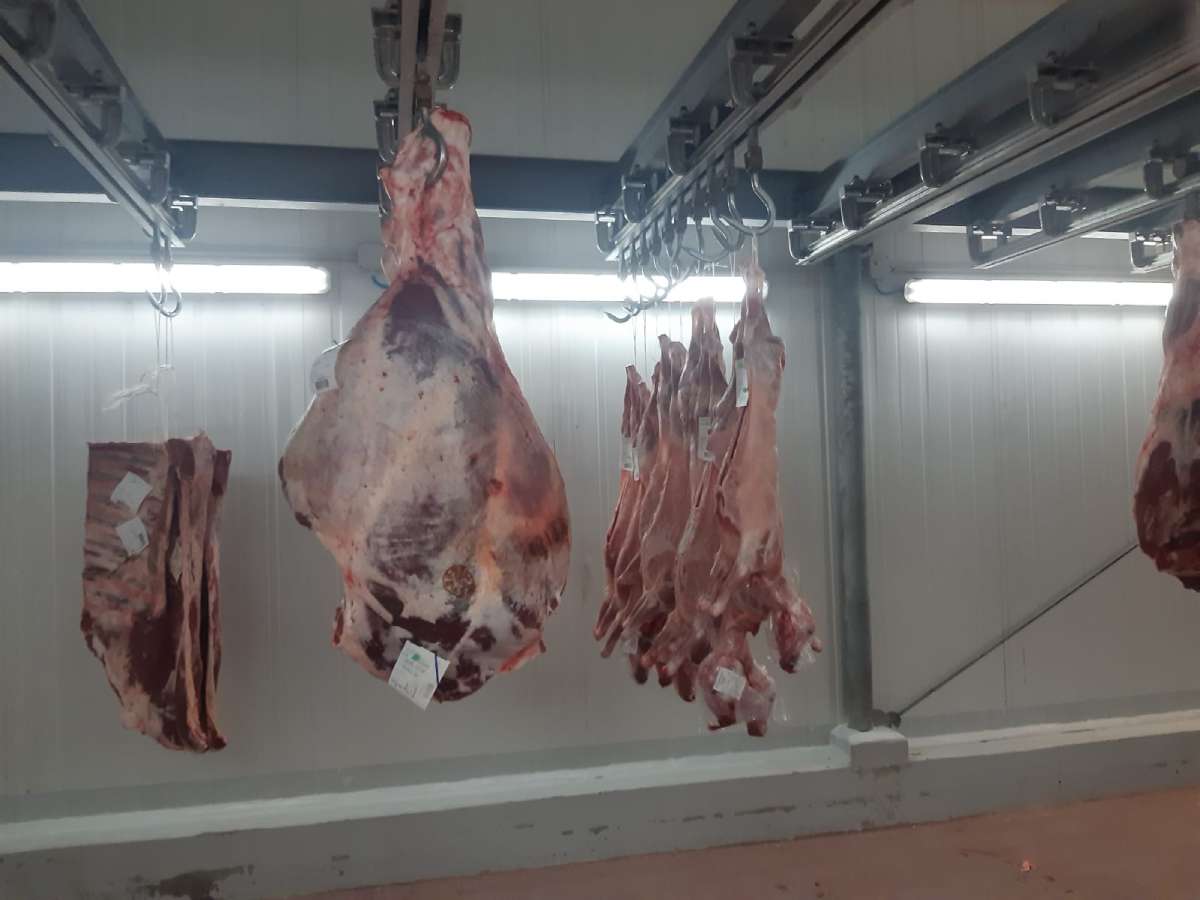 Cella conservazione carne STF Cella conservazione carne STF