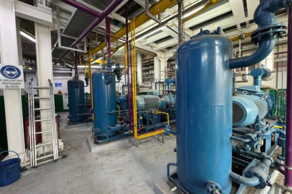 IL SOLE 24 ORE 2025 AGRUMARIA CORLEONE 2 STF